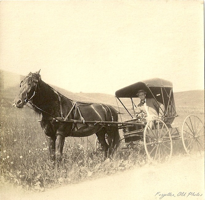 [Horse%2520and%2520carriage%2520PR%255B10%255D.jpg]