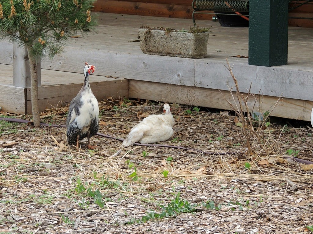 [DSCN8974%255B3%255D.jpg]