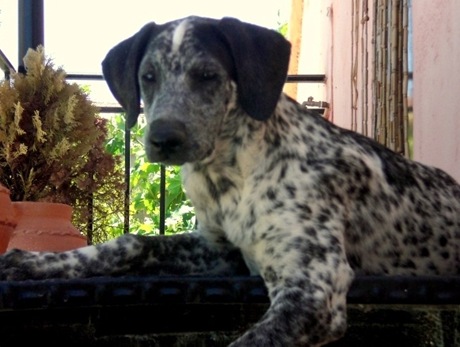 Nube 6-07-12[5]