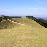 IMG_1559.JPG