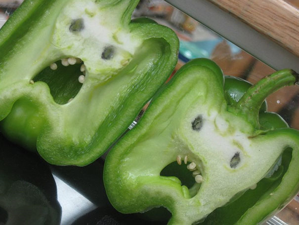 [terrified-peppers7.png]