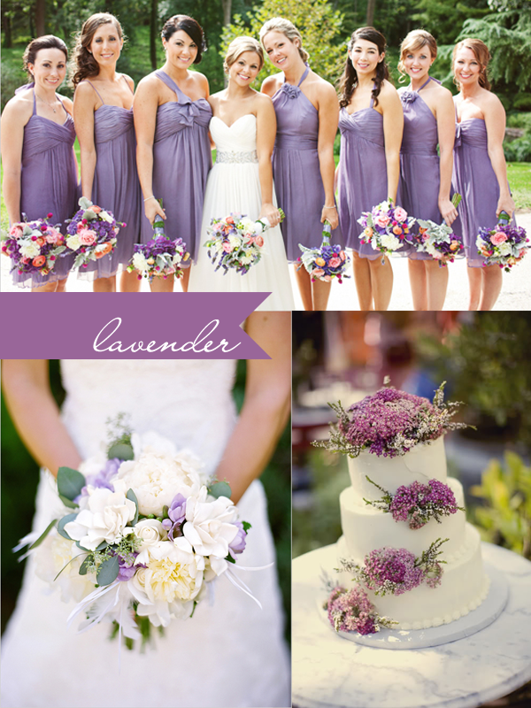 Lavender Lavender