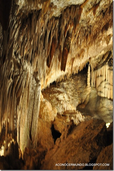 18-Cuevas del Drach - DSC_0139
