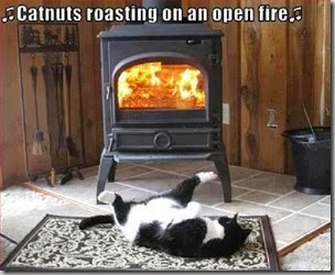 catnuts roasting