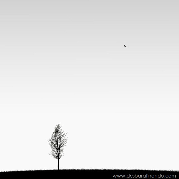 fotos-minimalistas-preto-branca-minimalist-black-white-photography-hossein-zare-desbaratinando (5)