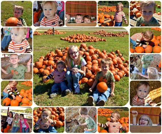 Pumpkin Patch collage