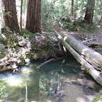 P1000756.JPG
