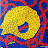 le dauphin 50 x 50 cm.jpg
