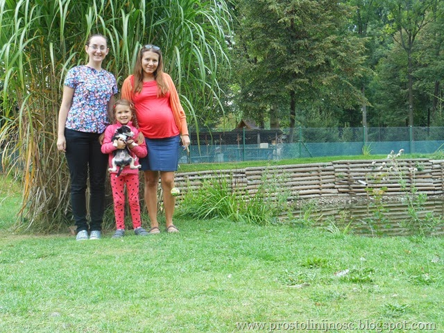 DSCN0459 DSCN0459
