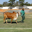 superleite2011_dia1507_115.JPG