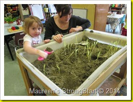 IMG_1800 IMG_1800