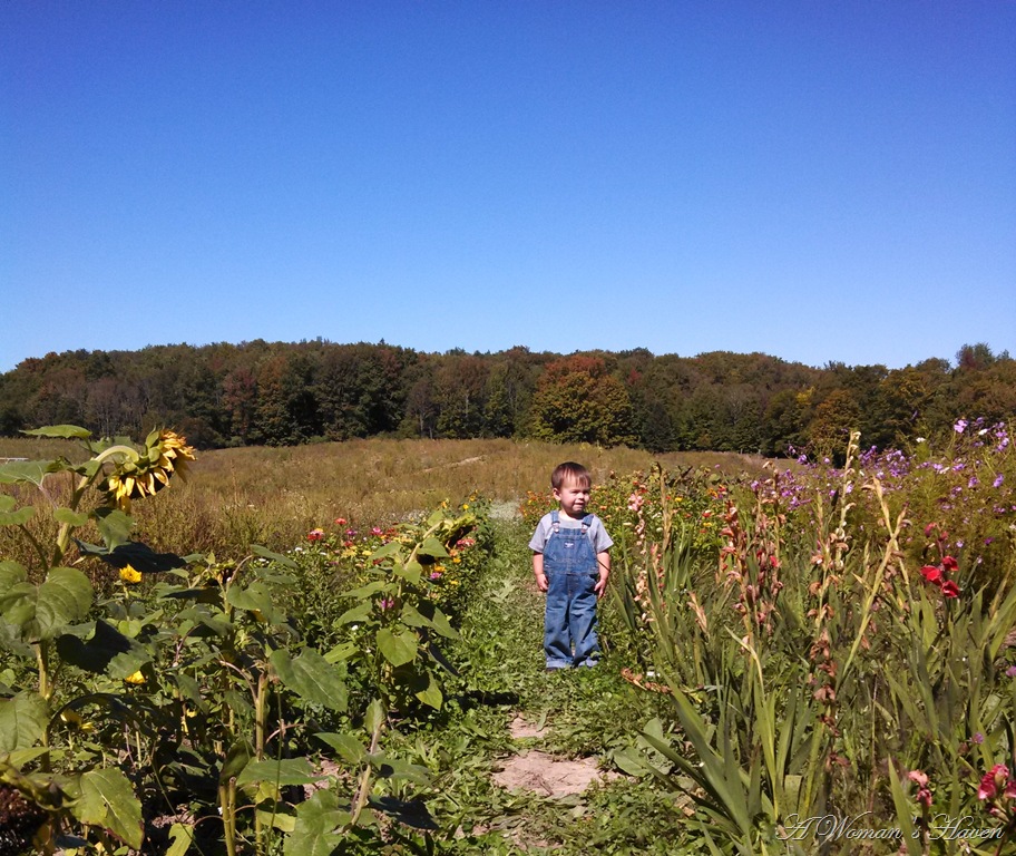 [IMG_20130917_141929_503%255B1%255D.jpg]