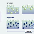biotem-NOTICIA.jpg