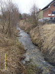 SDC10522.JPG