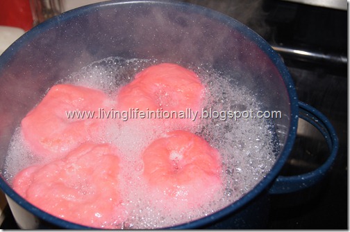 boil bagels boil bagels