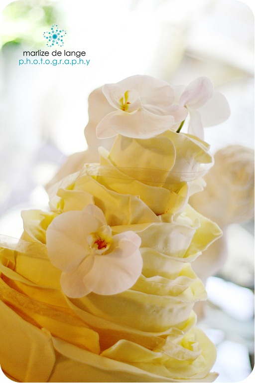 [IMG_0076%2520a%255B5%255D.jpg]