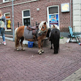 img_2647.jpg