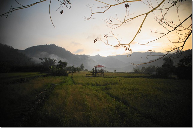 DSC02730 DSC02730