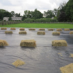 Covering the grass like this will turn it brown.  Why would anyone want to do that?  Maybe we should go and ask the donks!