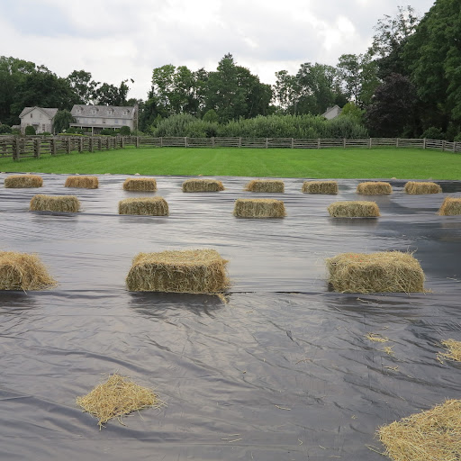 Covering the grass like this will turn it brown.  Why would anyone want to do that?  Maybe we should go and ask the donks!