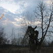 Serock - Natura,09 007.jpg