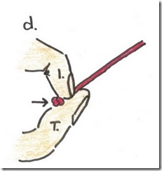 d knot
