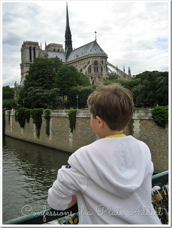 View of Notre Dame