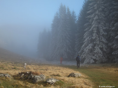 Creasta Nordica a Pietrei Craiului