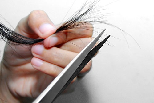 Pontas secas Corte Pontas secas Corte