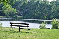 DSC_0953.JPG