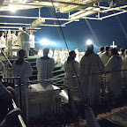 206_07-08-11_59a.jpg