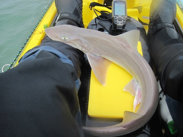 [IMG_0591%255B5%255D.jpg]