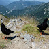 2011.07.10. - M&M na Dovški Babi