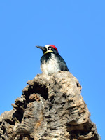 DSC_7957.jpg