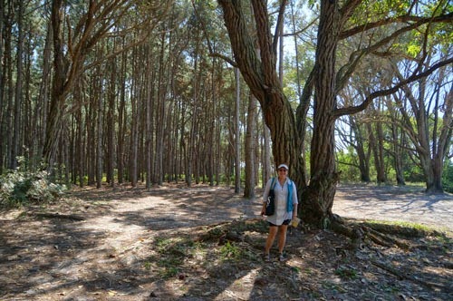 [Camping%2520Rio%2520Vermelho%252001%255B3%255D.jpg]