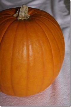 pumpkincarving 002
