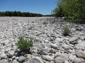  &ndash; Huge White Riverbed