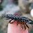 DSCF0506.JPG