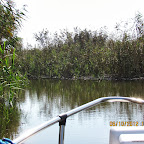 IMG_8008.JPG