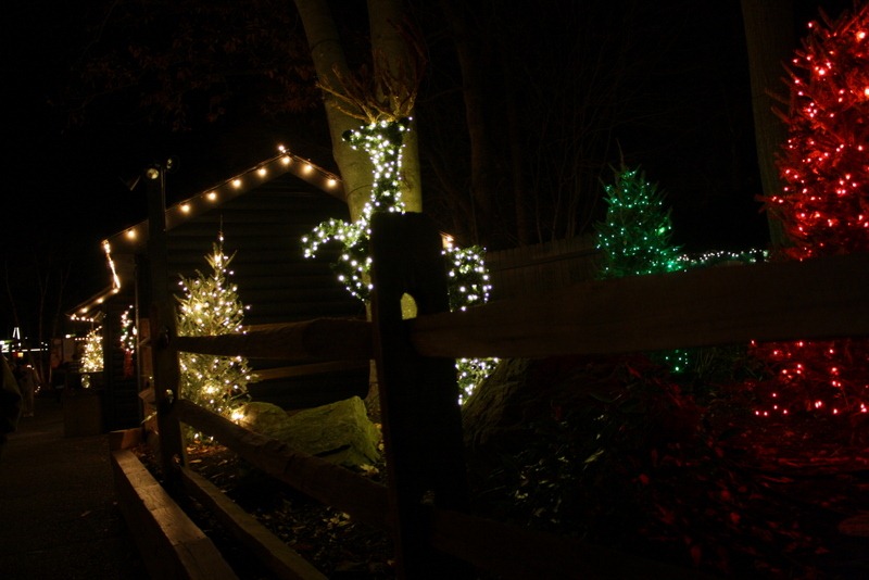 [Christmas-Town-0853.jpg]