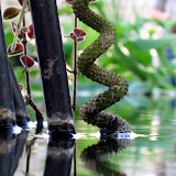 Conservatory of Flowers