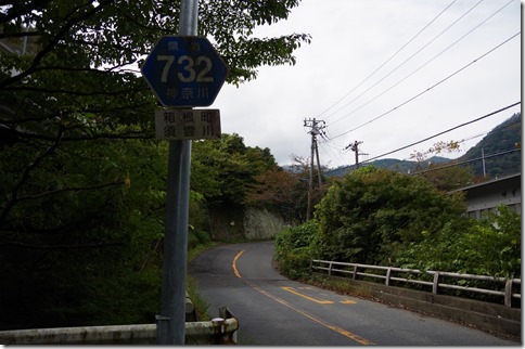IMGP3262 IMGP3262