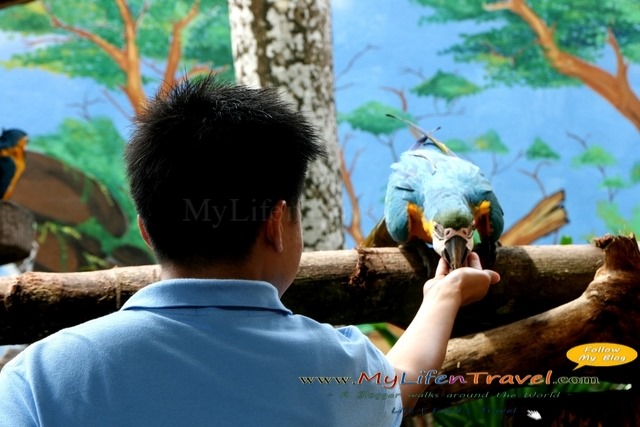 Langkawi Wildlife Park Langkawi Wildlife Park