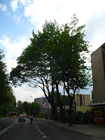 IMG_0293.JPG