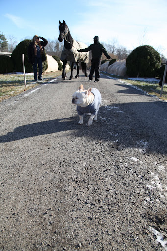 Ahem!!!  That's enough, donkey's!  This way, Sasa!