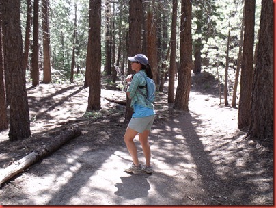 mammoth 087
