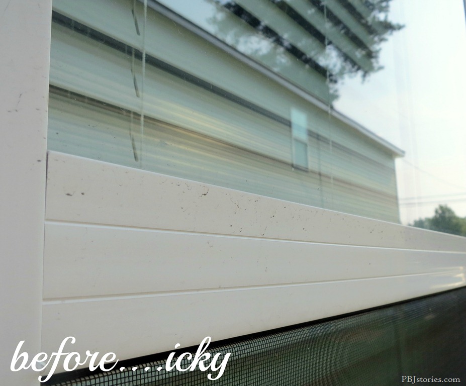 [Window%2520Close%2520Up%2520Before%2520Fish%2520Foam%2520Details%255B8%255D.jpg]