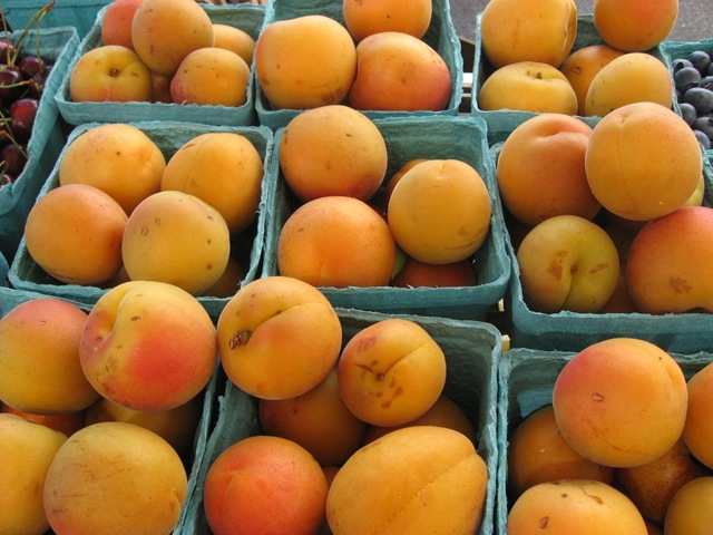 [apricots%255B4%255D.jpg]