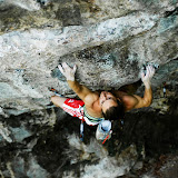 Steinfeder, pic: Sigi Putz