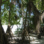 l017.jpg